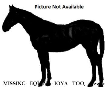 MISSING EQUINE IOYA TOO, Reward RECOVERED Near Williston, FL, Other, 43329